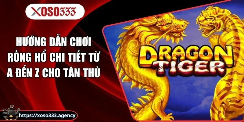 Hướng Dẫn Chơi Rồng Hổ Chi Tiết Từ A Đến Z Cho Tân Thủ
