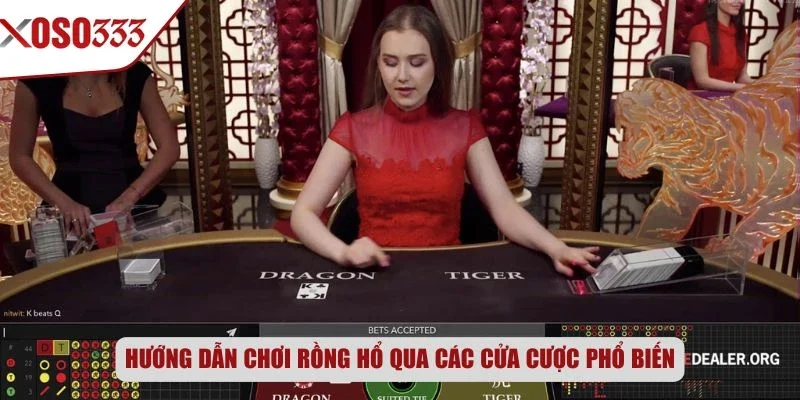 Hướng dẫn chơi Rồng Hổ qua các cửa cược phổ biến