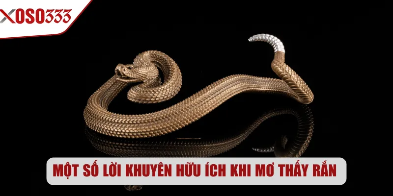 Một số lời khuyên hữu ích