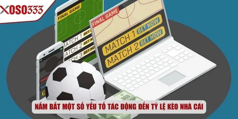 Nắm bắt một số yếu tố tác động đến tỷ lệ kèo nhà cái