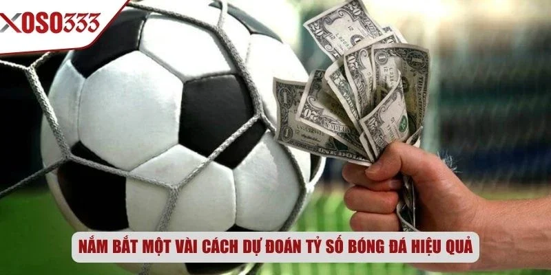 Nắm bắt một vài cách dự đoán tỷ số bóng đá hiệu quả