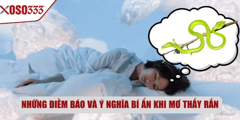 Những điềm báo và ý nghĩa bí ẩn khi mơ thấy rắn