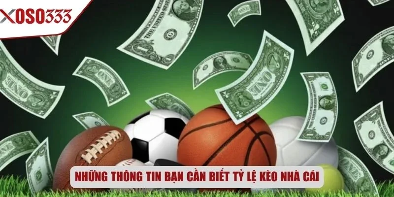 Những thông tin bạn cần biết tỷ lệ kèo nhà cái