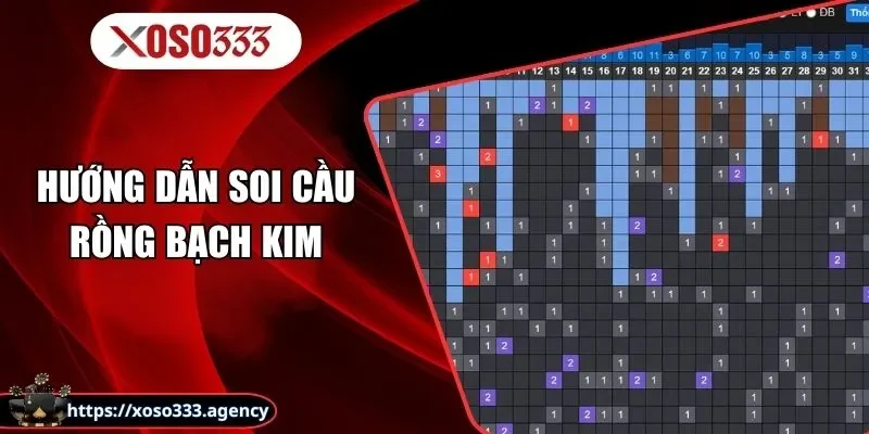 Soi Cầu Rồng Bạch Kim Là Gì? Cách Sử Dụng Thống Kê RBK