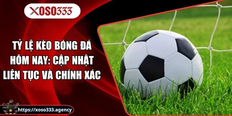 Tỷ Lệ Kèo Bóng Đá Hôm Nay: Cập Nhật Liên Tục Và Chính Xác