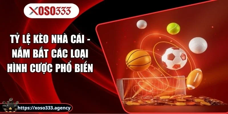 Tỷ Lệ Kèo Nhà Cái - Nắm Bắt Các Loại Hình Cược Phổ Biến